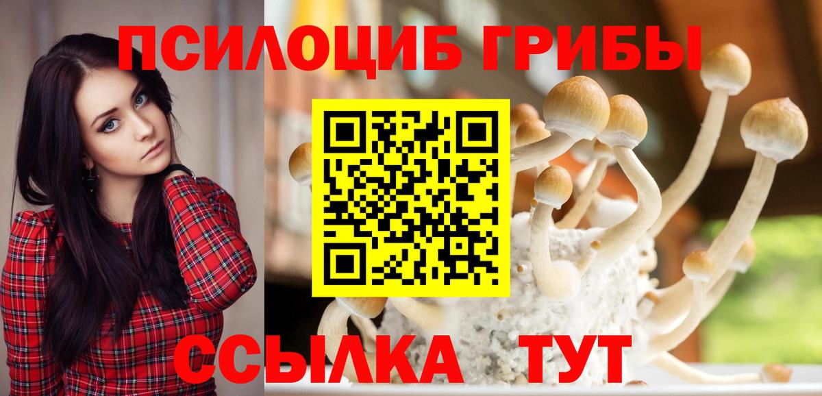 Киселёвск  Псилоцибиновые грибы MAGIC MUSHROOMS  Вход с VPN 